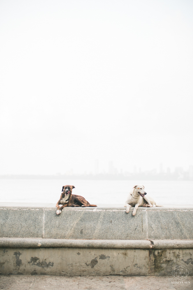 MArine drive Mumbai, mumbai city guide